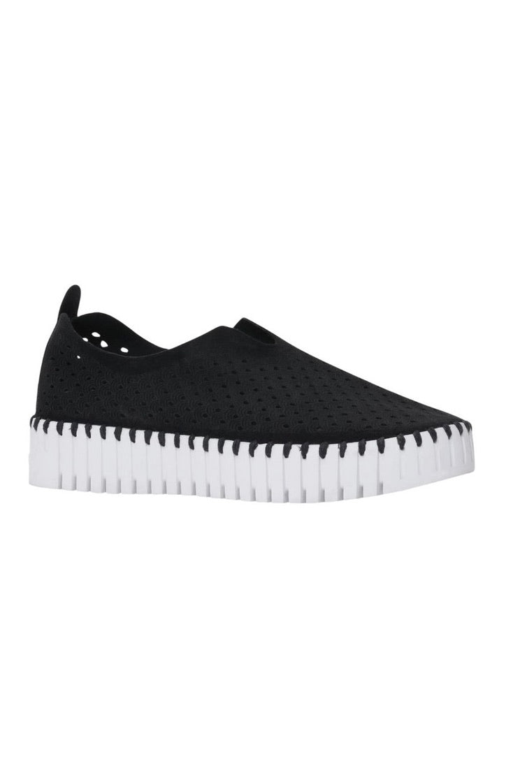 Ilse Jacobsen: Tulip Platforms
