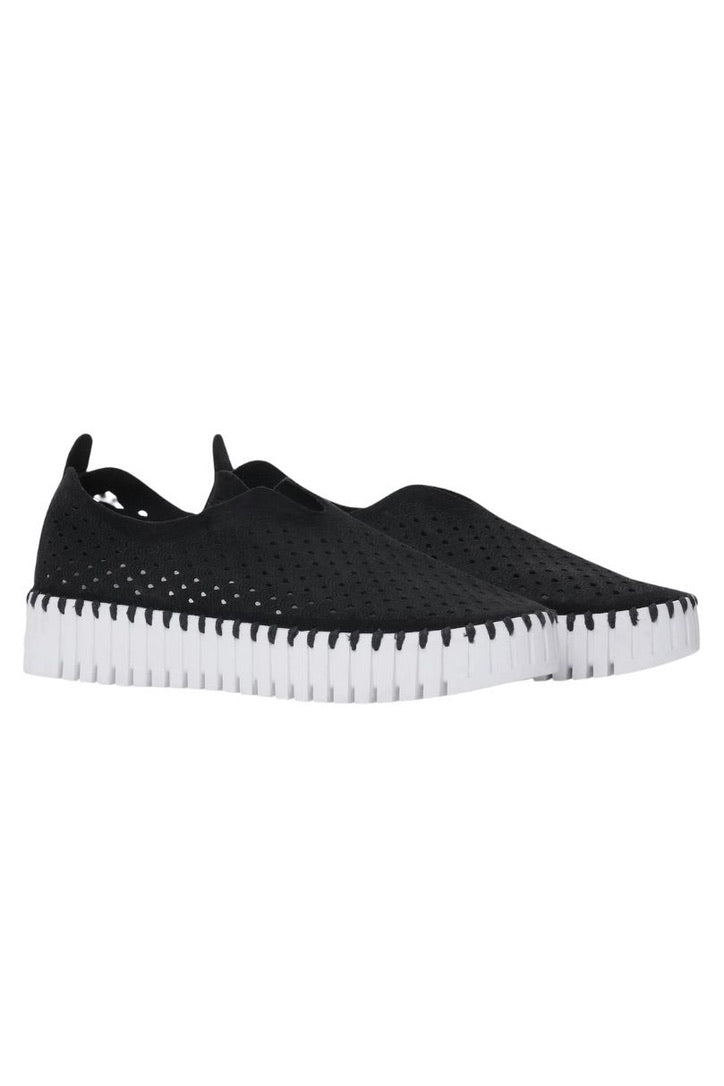 Ilse Jacobsen: Tulip Platforms