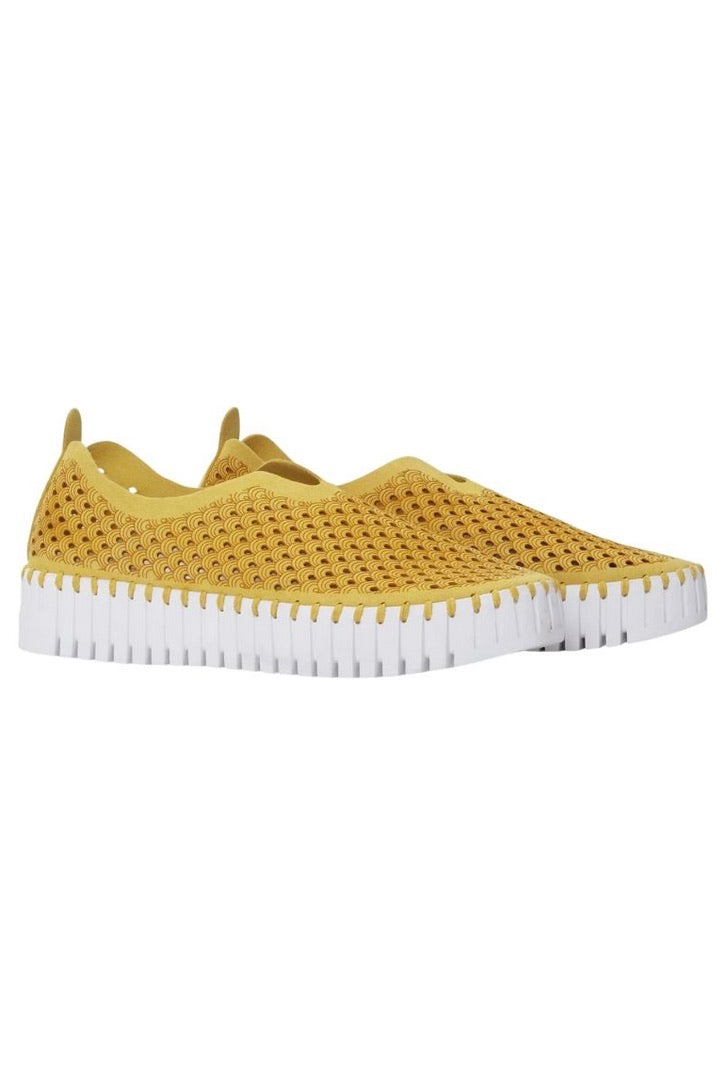 Ilse Jacobsen: Tulip Platforms
