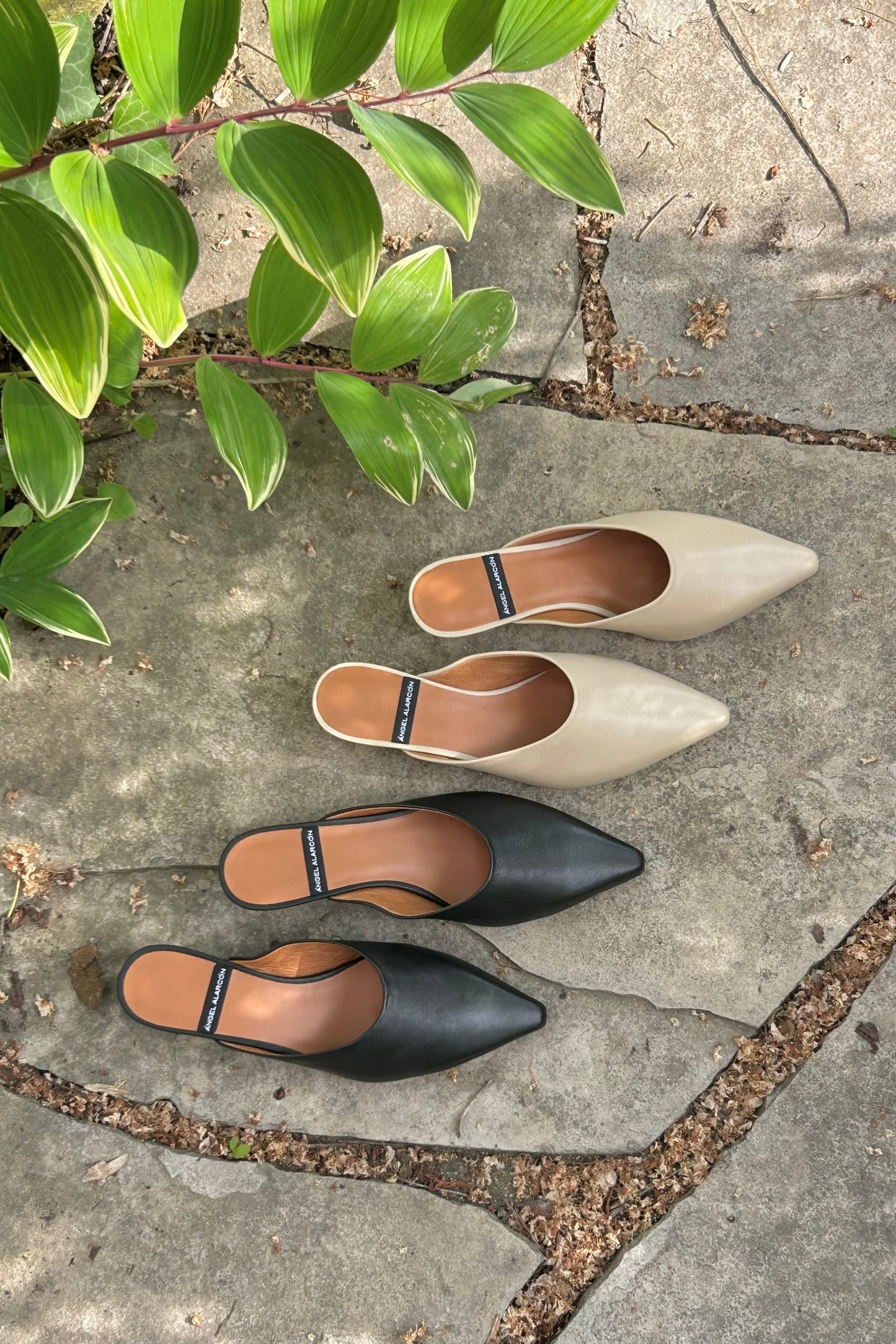 Angel Alarcon: Kitten Mules (2 Colours)