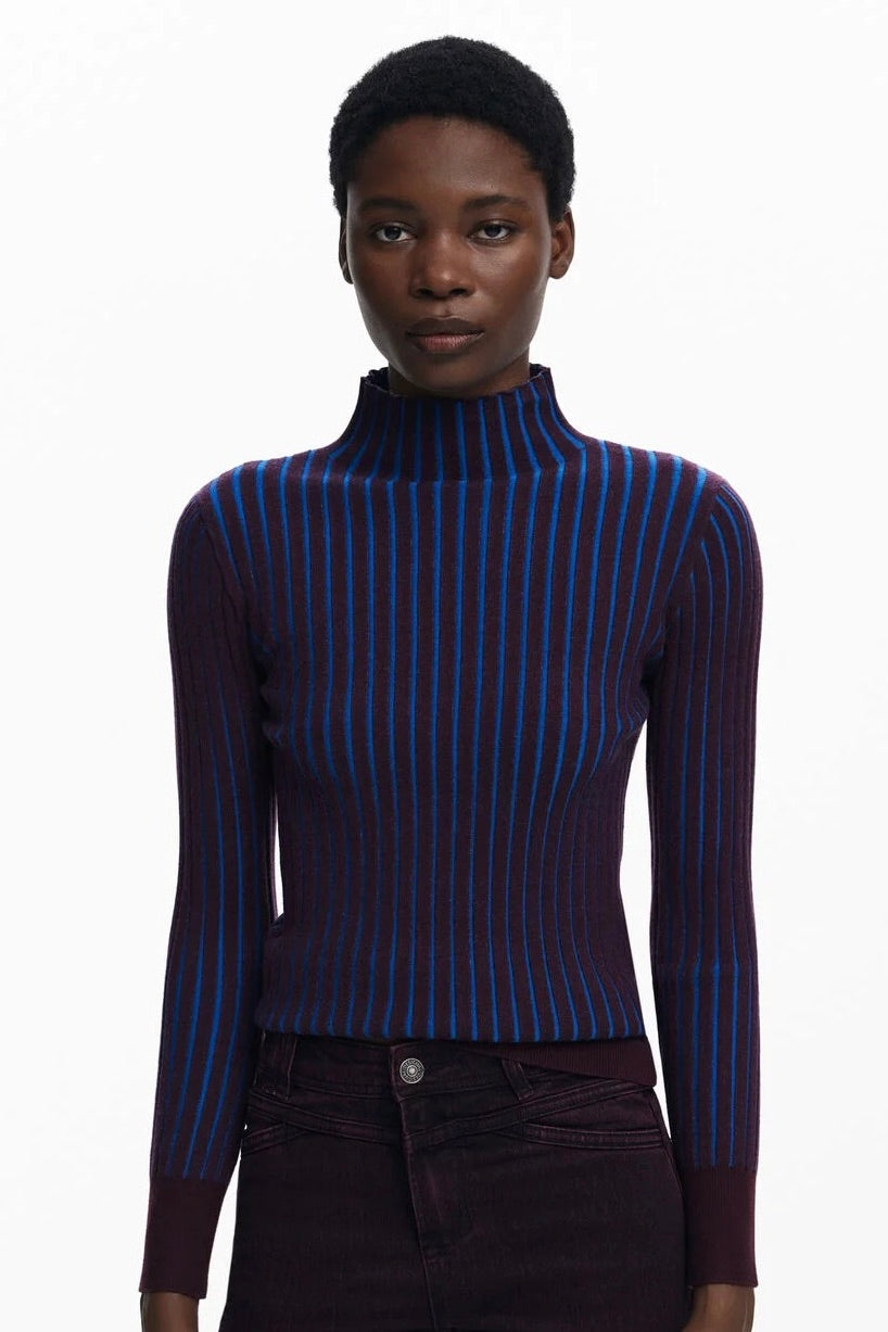 Desigual: Ribbed Turtleneck