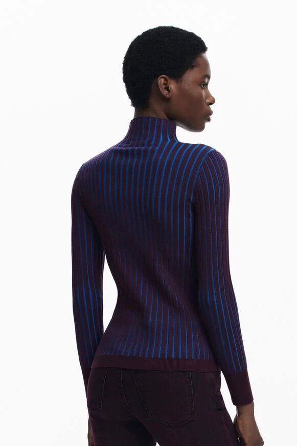 Desigual: Ribbed Turtleneck