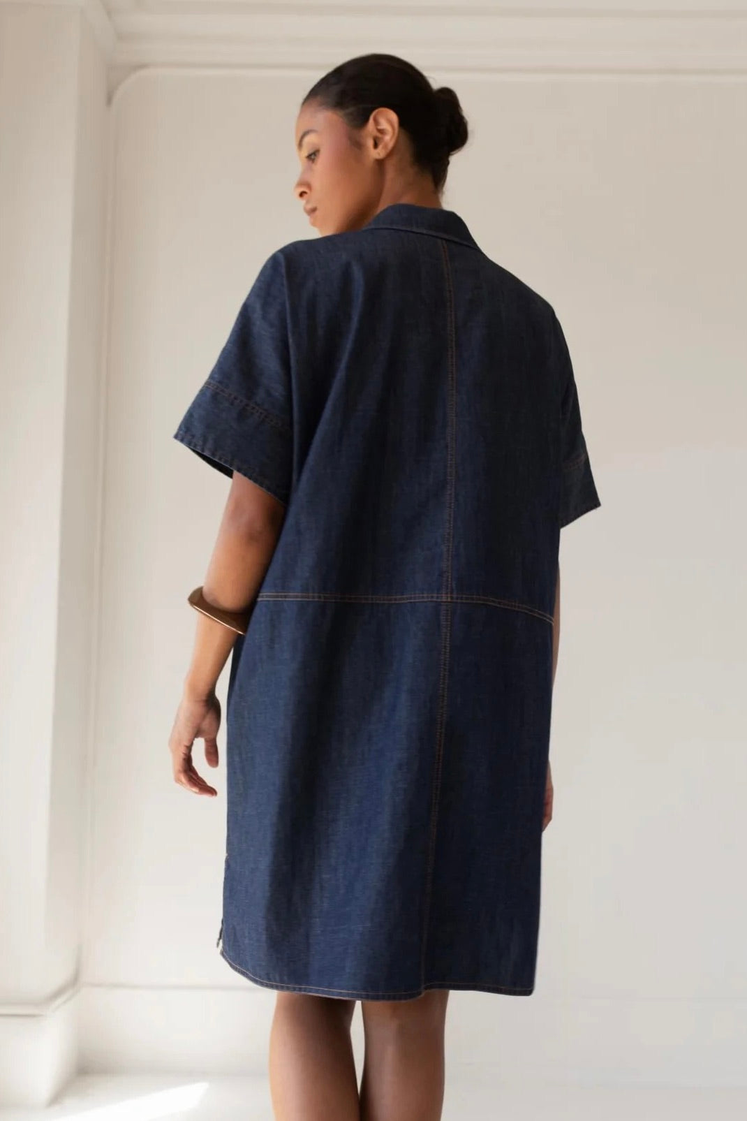 Paper Label: Vlada Denim Dress