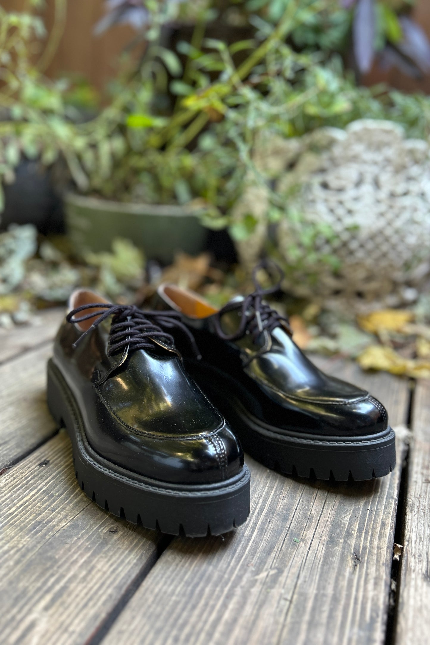 Popa: Cervantes Oxfords