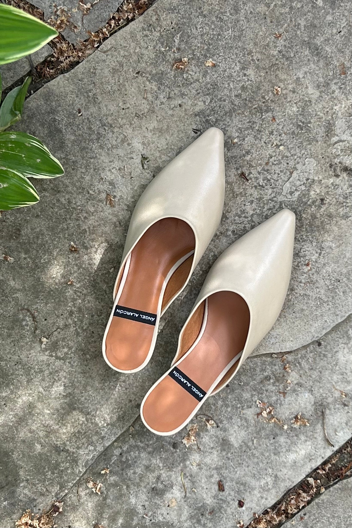 Angel Alarcon: Kitten Mules (2 Colours)