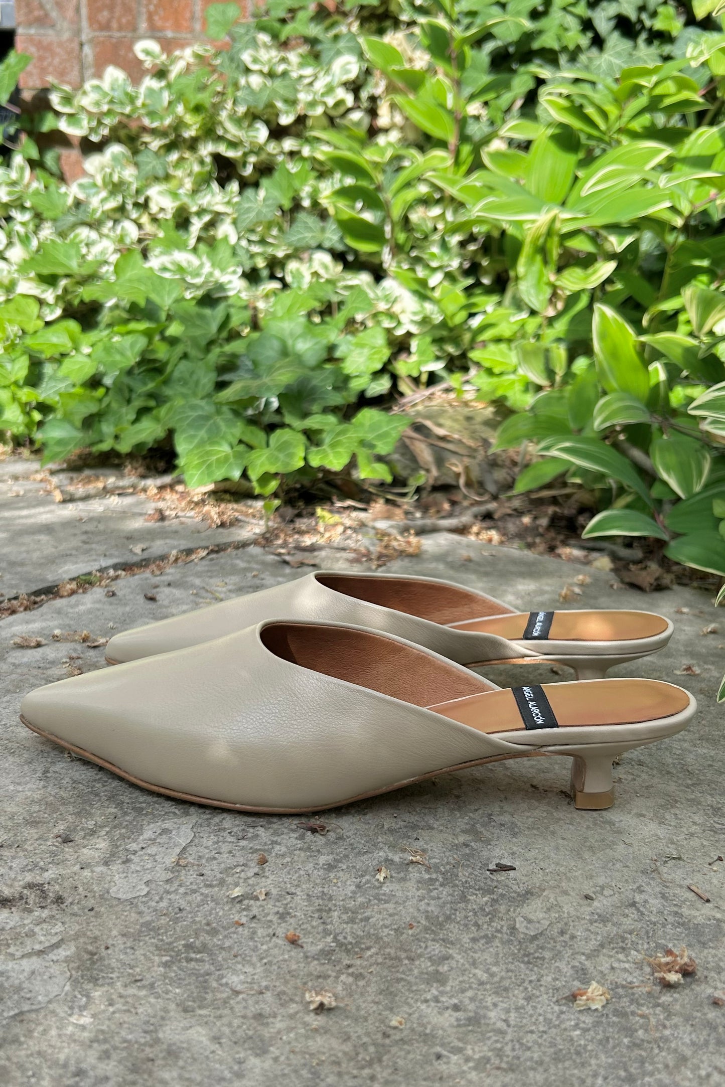 Angel Alarcon: Kitten Mules (2 Colours)