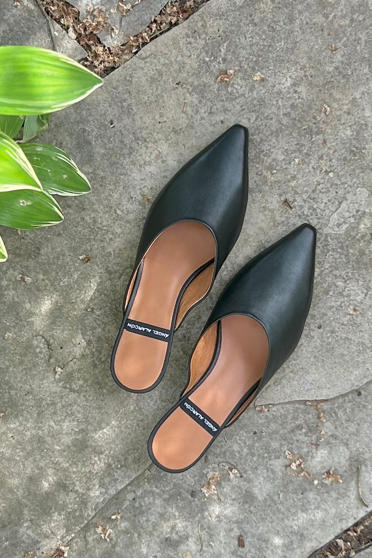 Angel Alarcon: Kitten Mules (2 Colours)