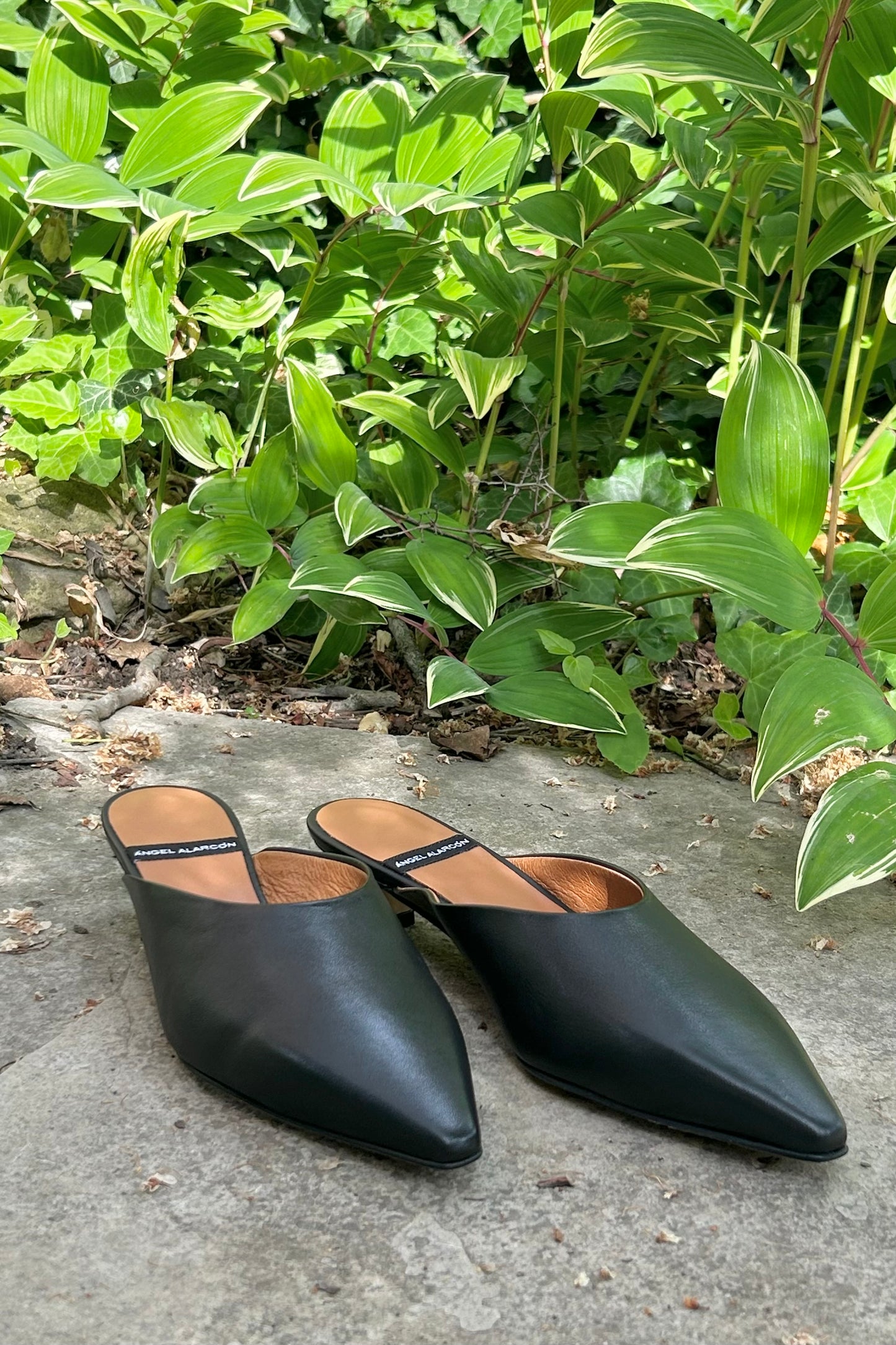 Angel Alarcon: Kitten Mules (2 Colours)