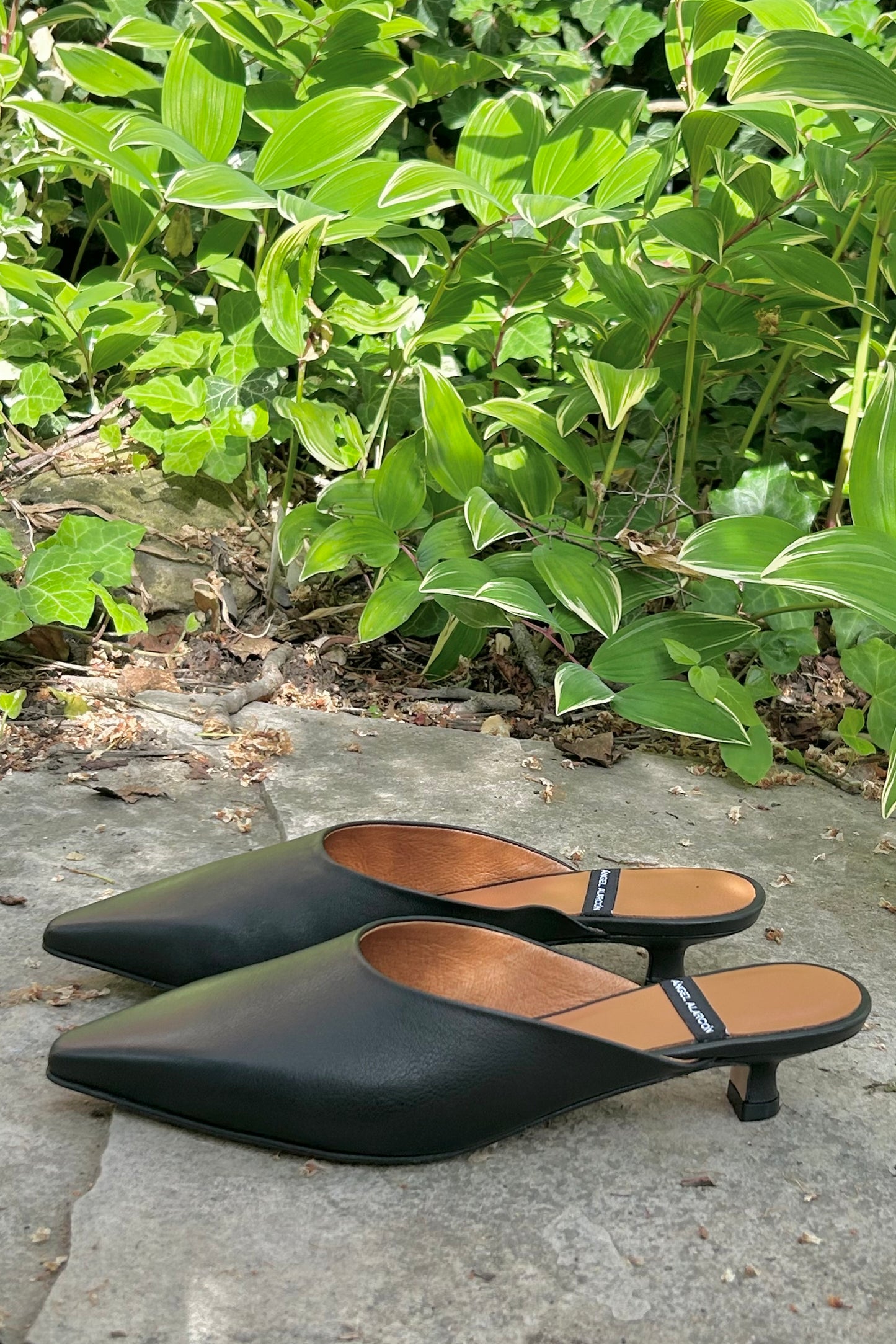 Angel Alarcon: Kitten Mules (2 Colours)