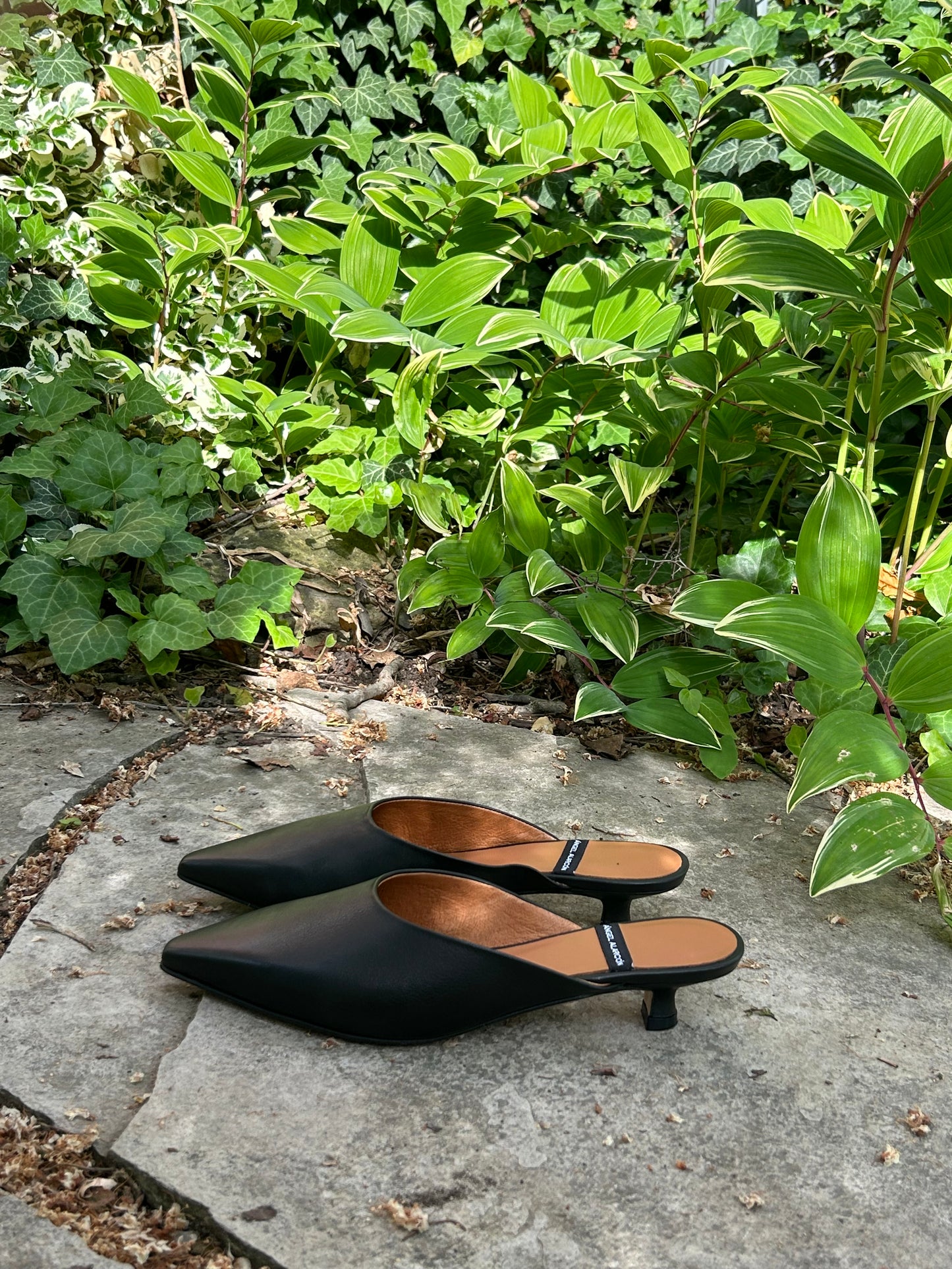 Angel Alarcon: Kitten Mules (2 Colours)