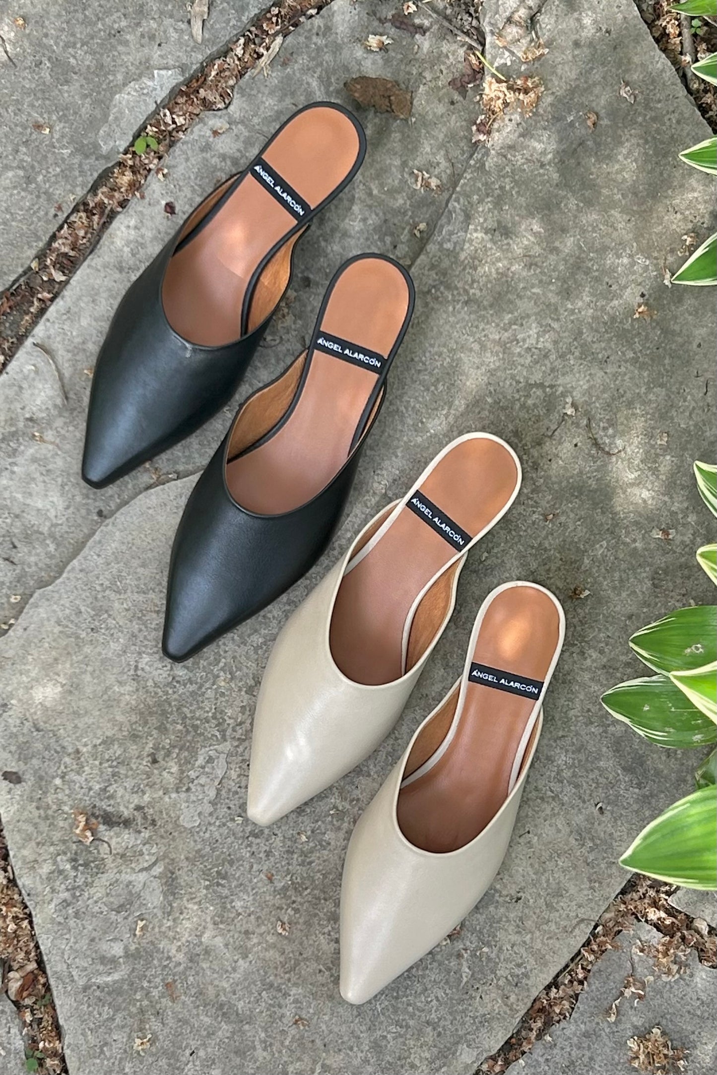 Angel Alarcon: Kitten Mules (2 Colours)