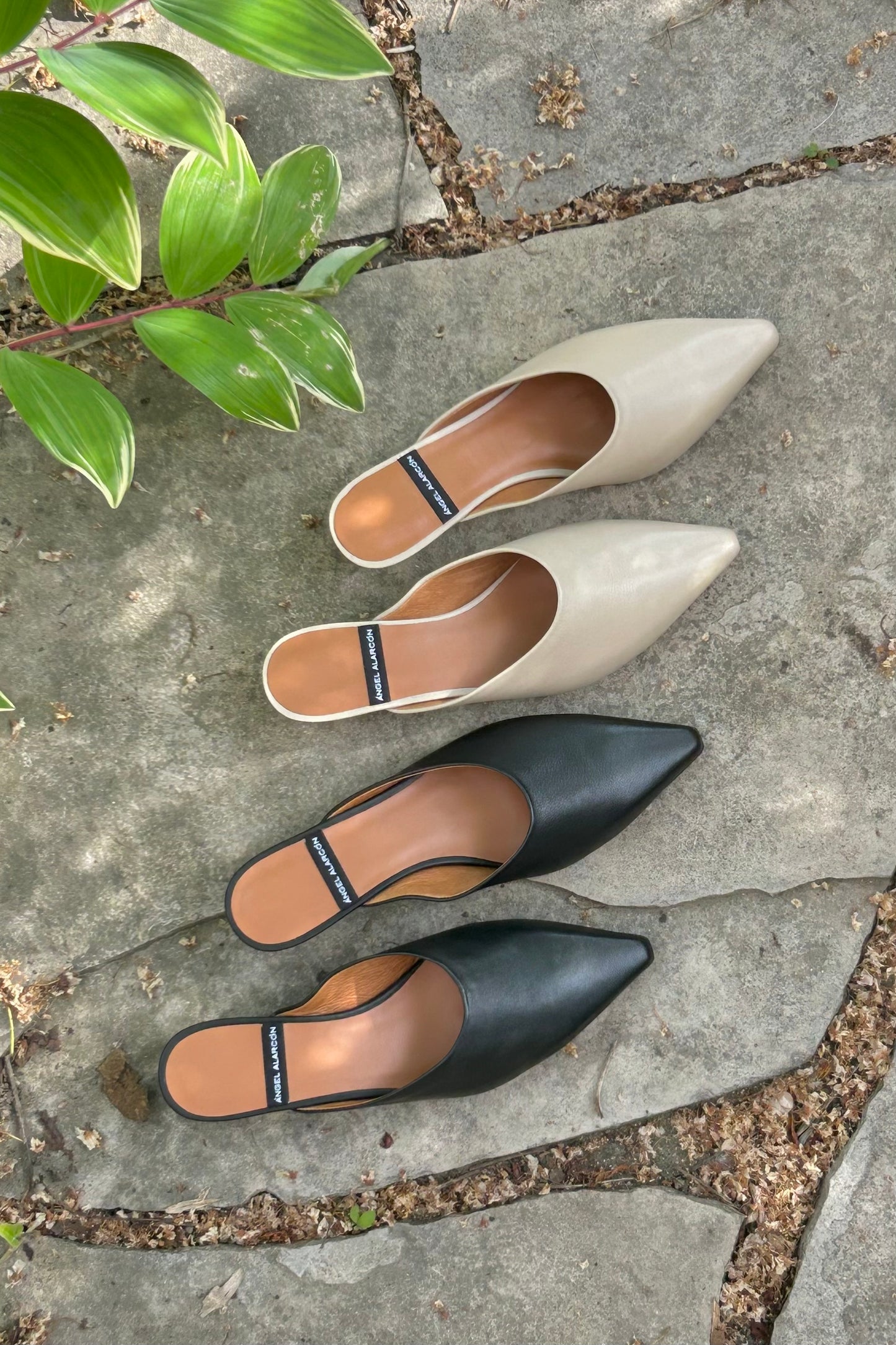 Angel Alarcon: Kitten Mules (2 Colours)