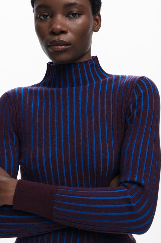 Desigual: Ribbed Turtleneck